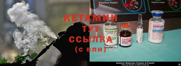 трава Абаза
