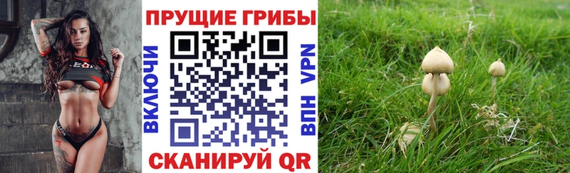 как найти закладки Усть-Катав Галлюциногенные грибы Cubensis
